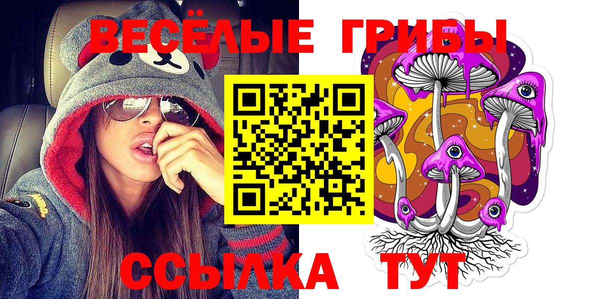 Галлюциногенные грибы мицелий  Вход с VPN  Киселёвск 